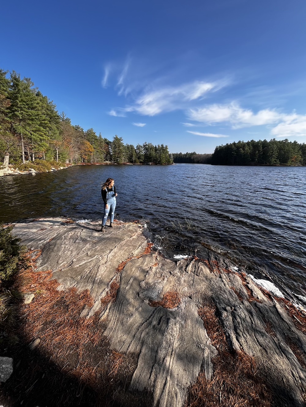 Woman standing on rocky shore next to lake