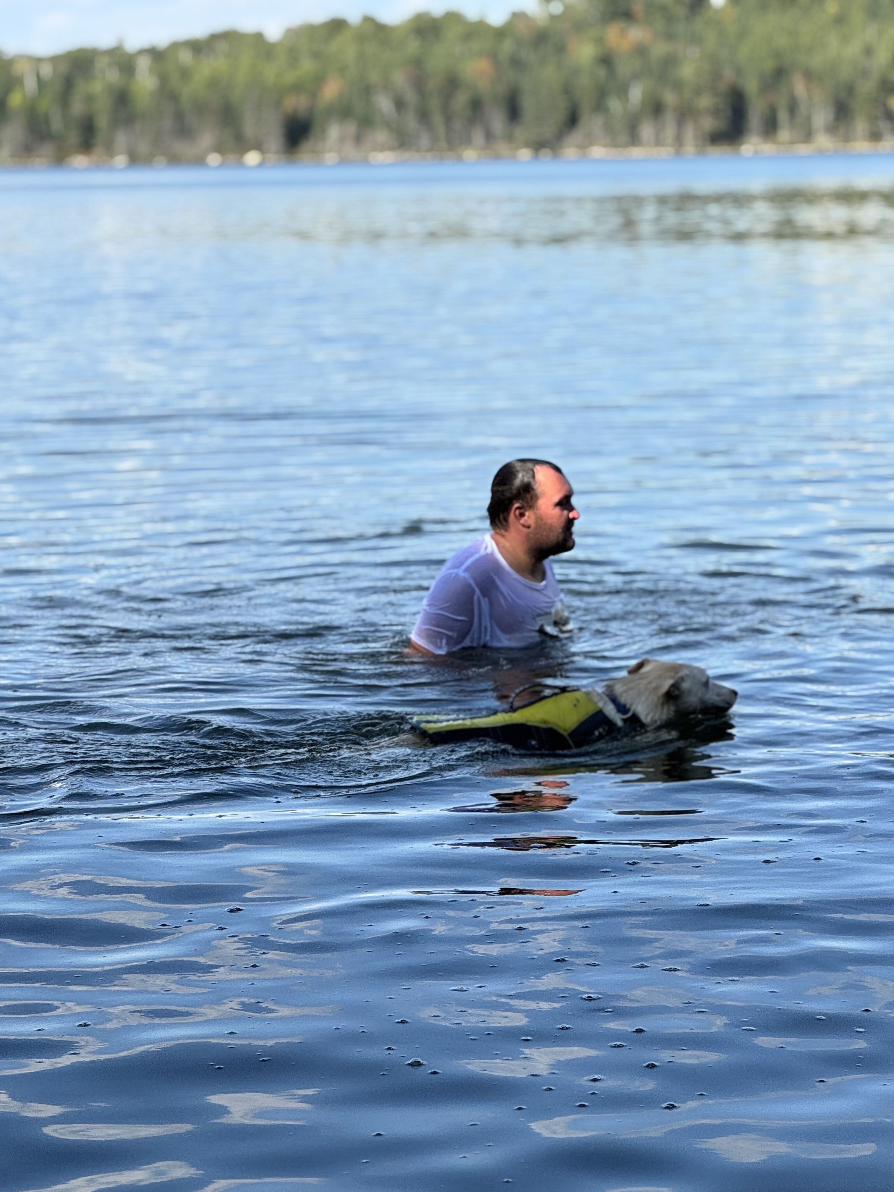 Some lodges are pet friendly, but ask before bringing your pet.