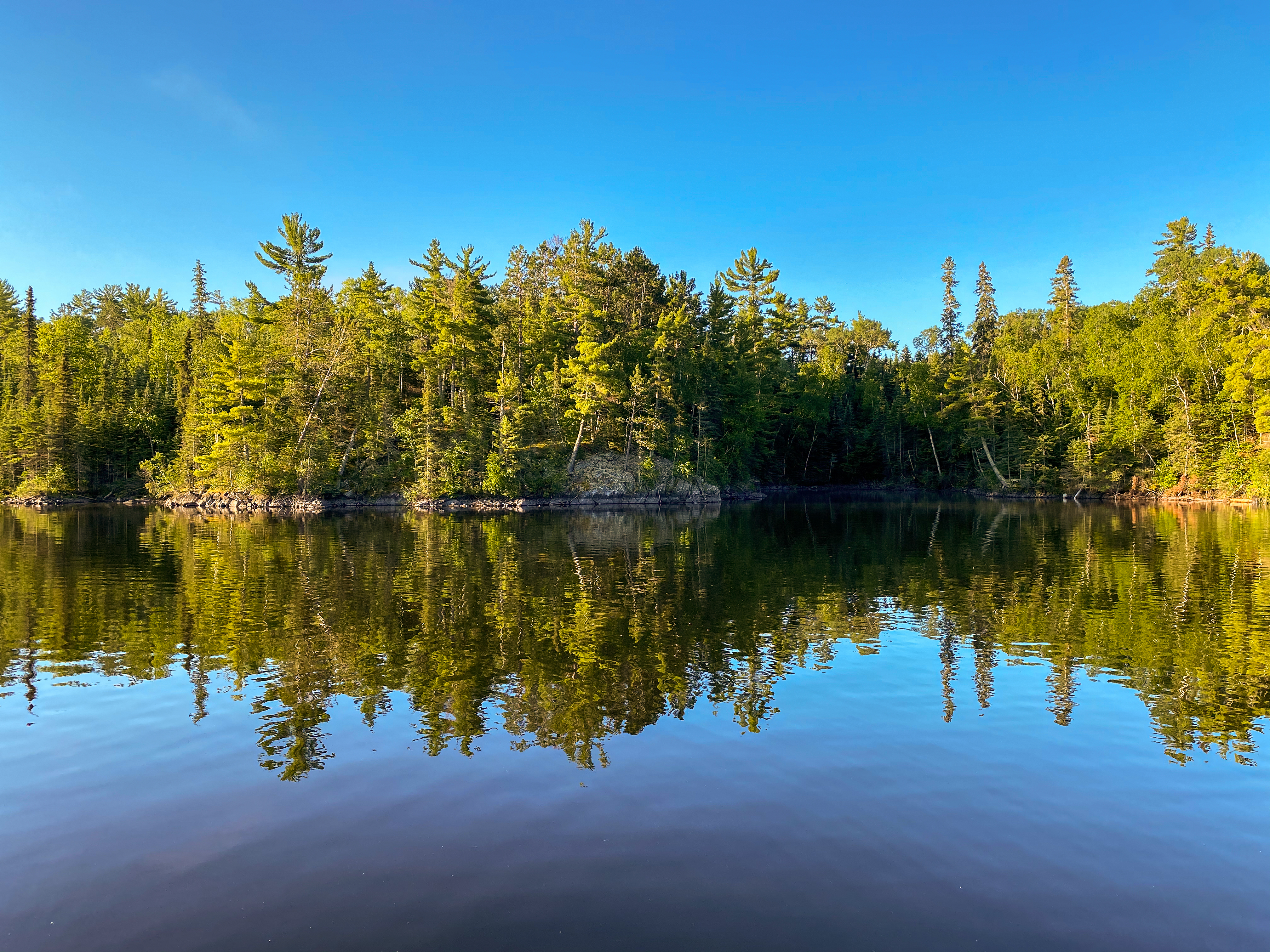Northwestern Ontario is covered almost entirely by Boreal forests.