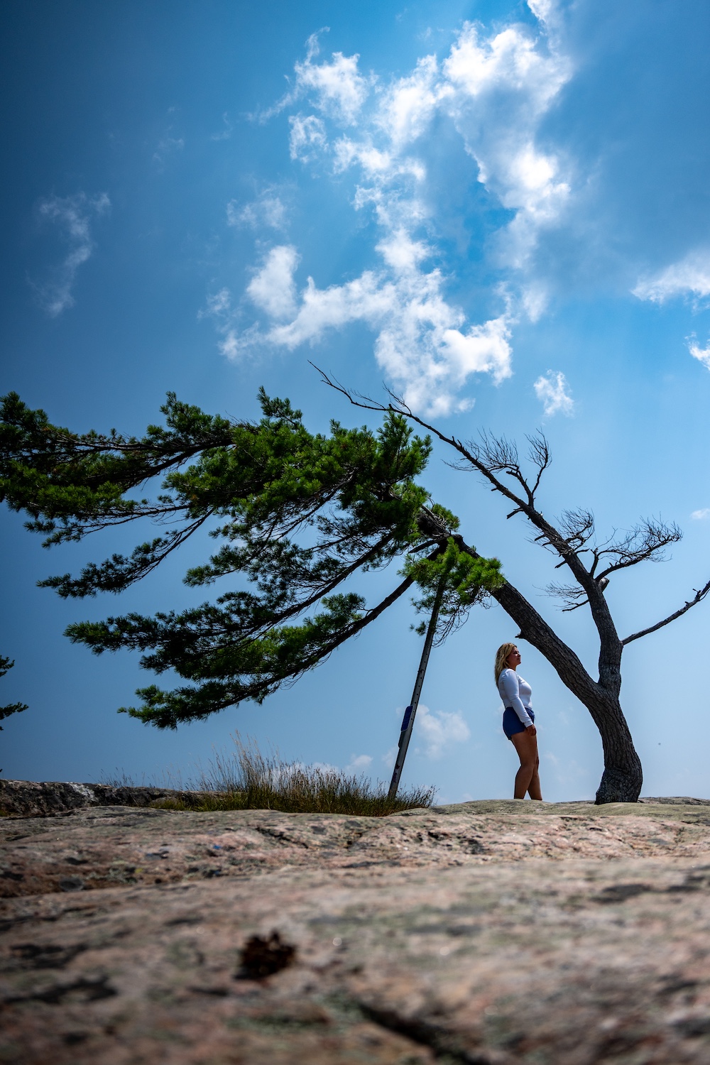 Woman standing beneath iconic leaning pine tree at Killbear