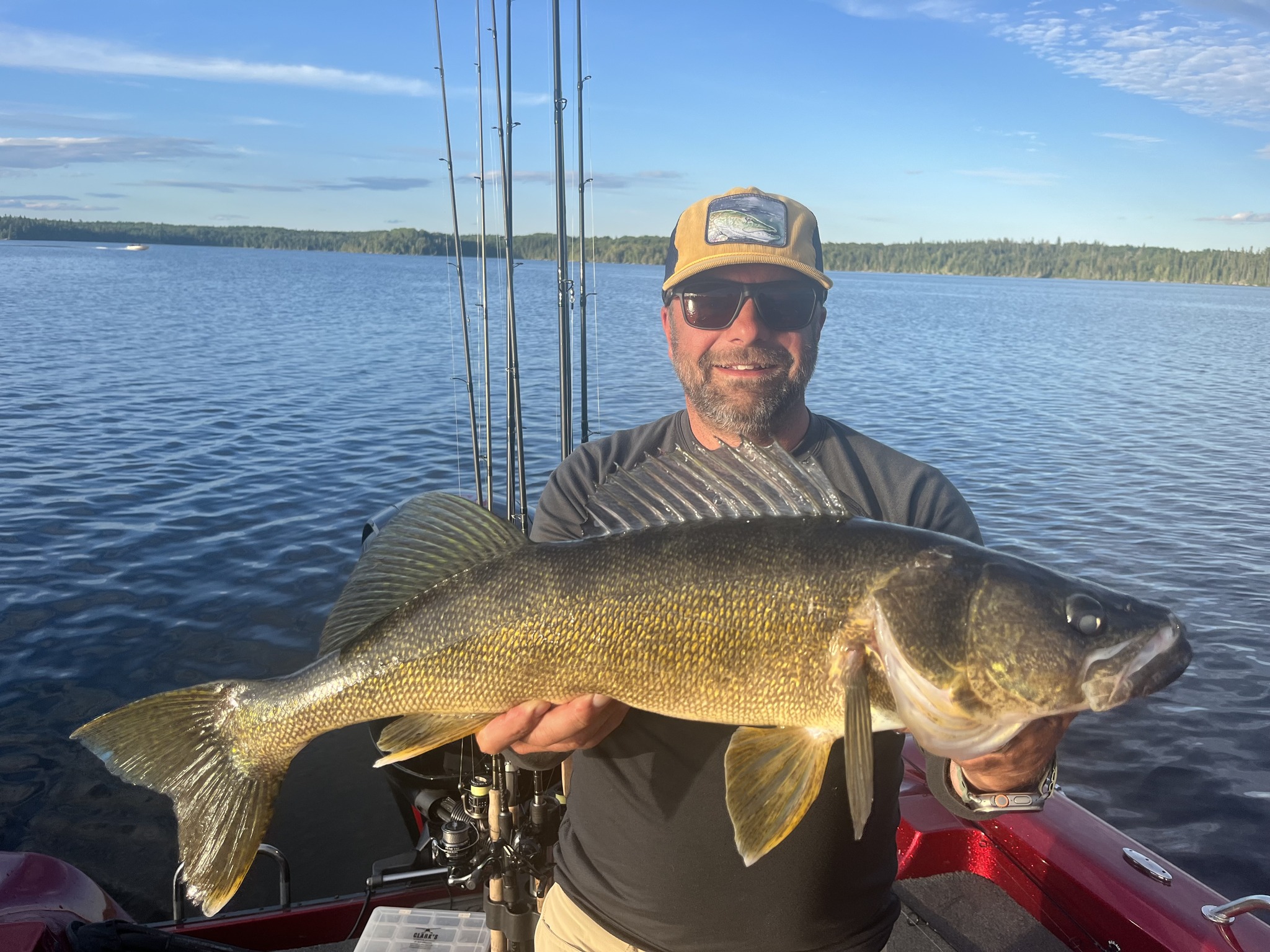 Big walleye caught at Manotak Lodge.