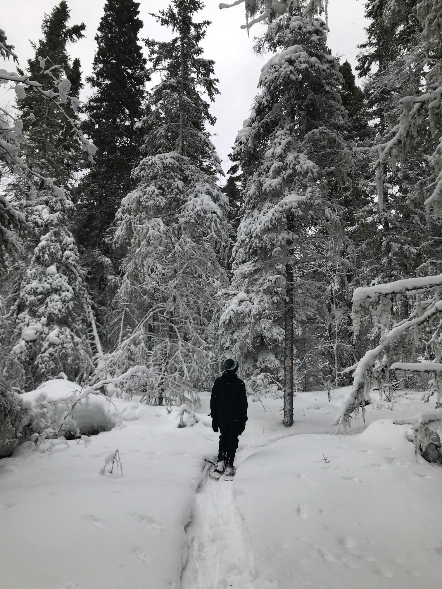 Snowshoeing in Marathon