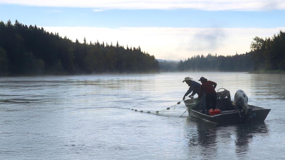 Two people hauling in a net from a small fishing boat on a river