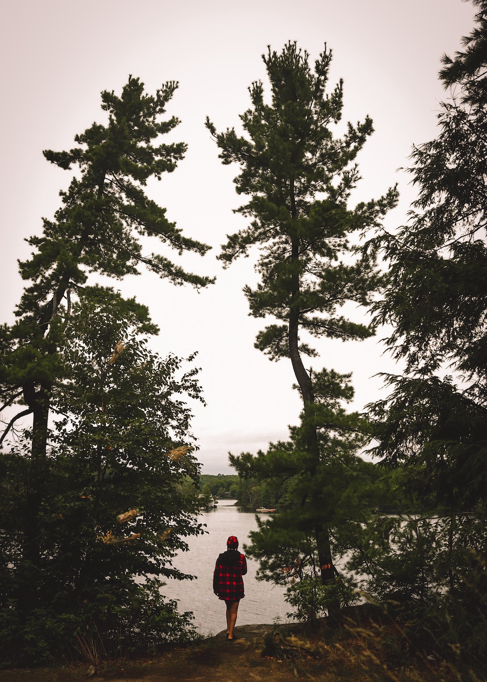 Person standing between pine trees looking out at lake