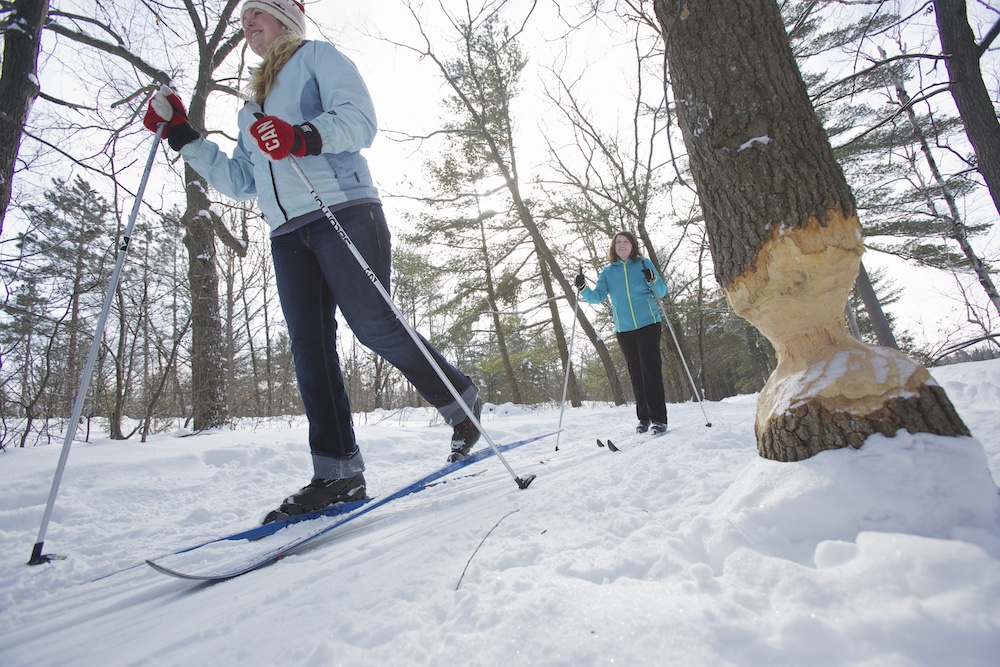Two people cross country skiing at Pinery Provincial Park