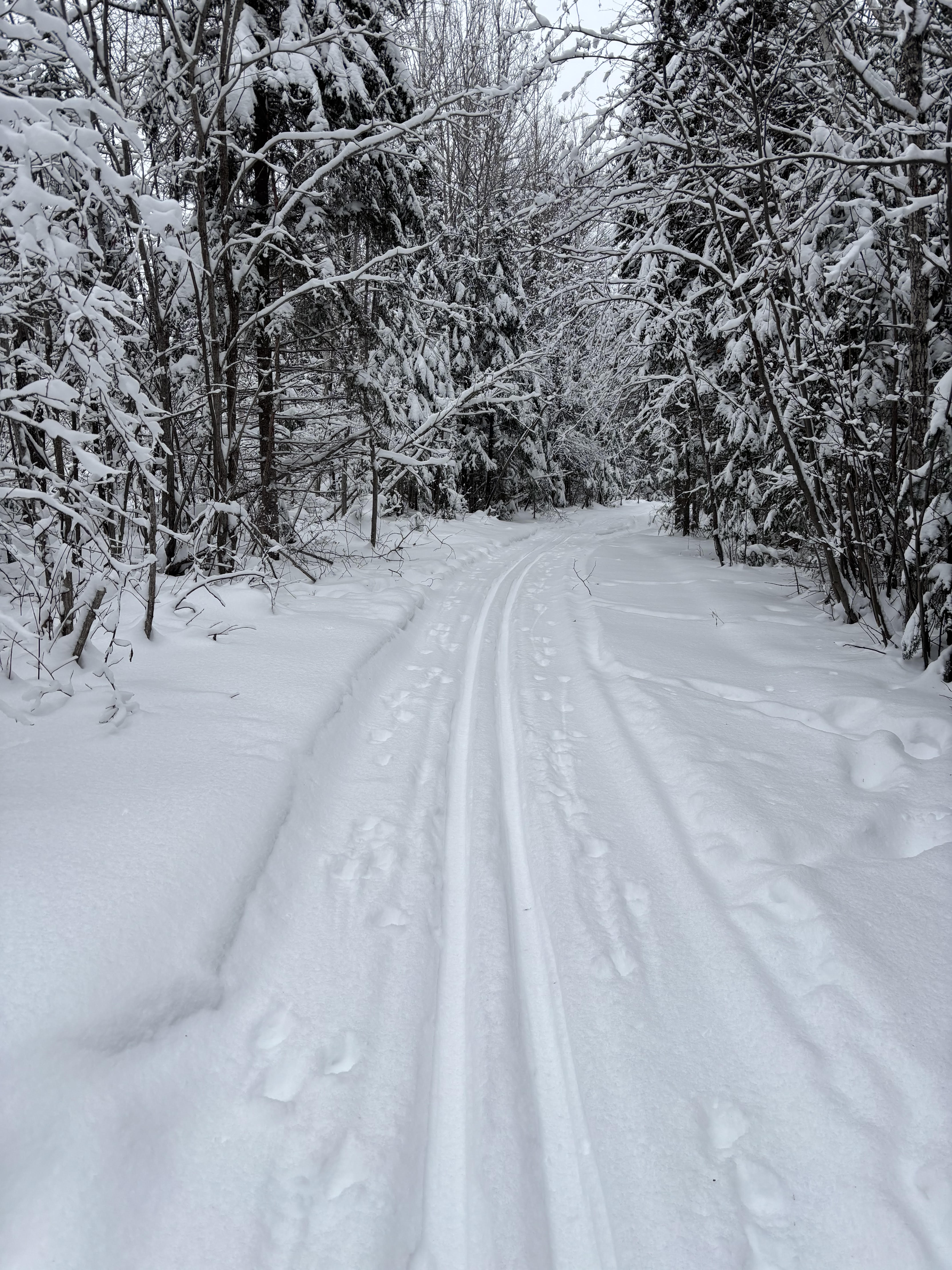 Cross Country skiing, Nipigon