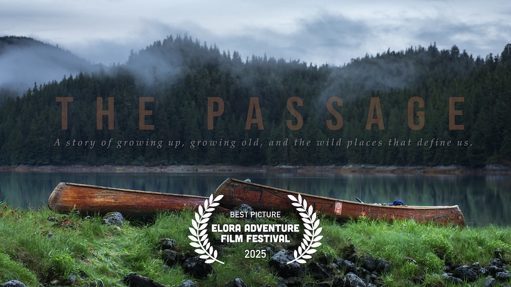 Two canoes pulled up on shore beside a river