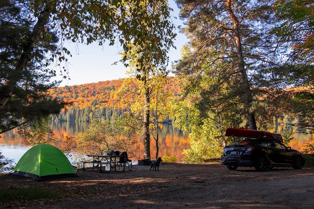 Tent, dog, picnic table and car with canoe on roof at a campsite next to a lake