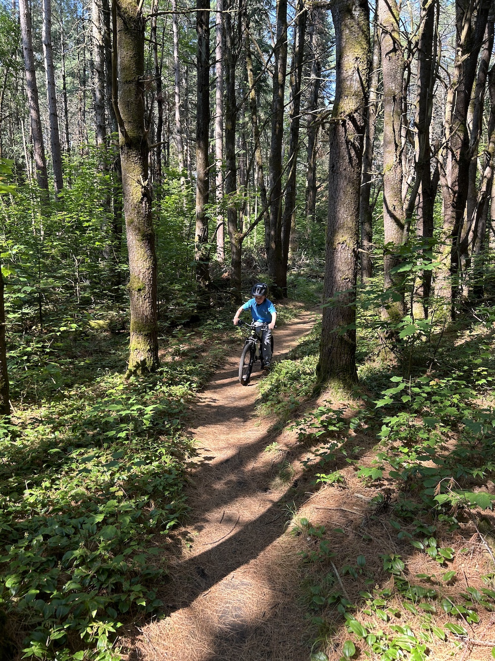 Child biking on trail in the woods