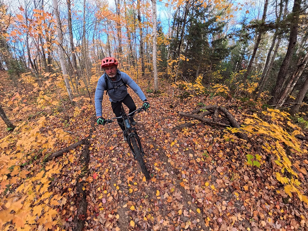 Man riding mountain bike on dirt trail covered in yellow leaves