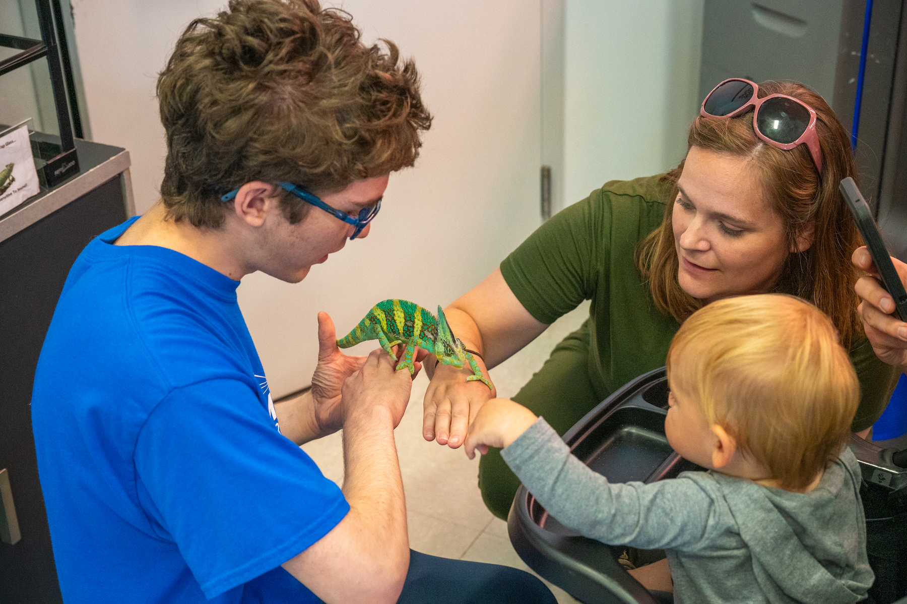 a small child with their mother reaches out to pet a chameleon on a smiling Entomica worker's hand.