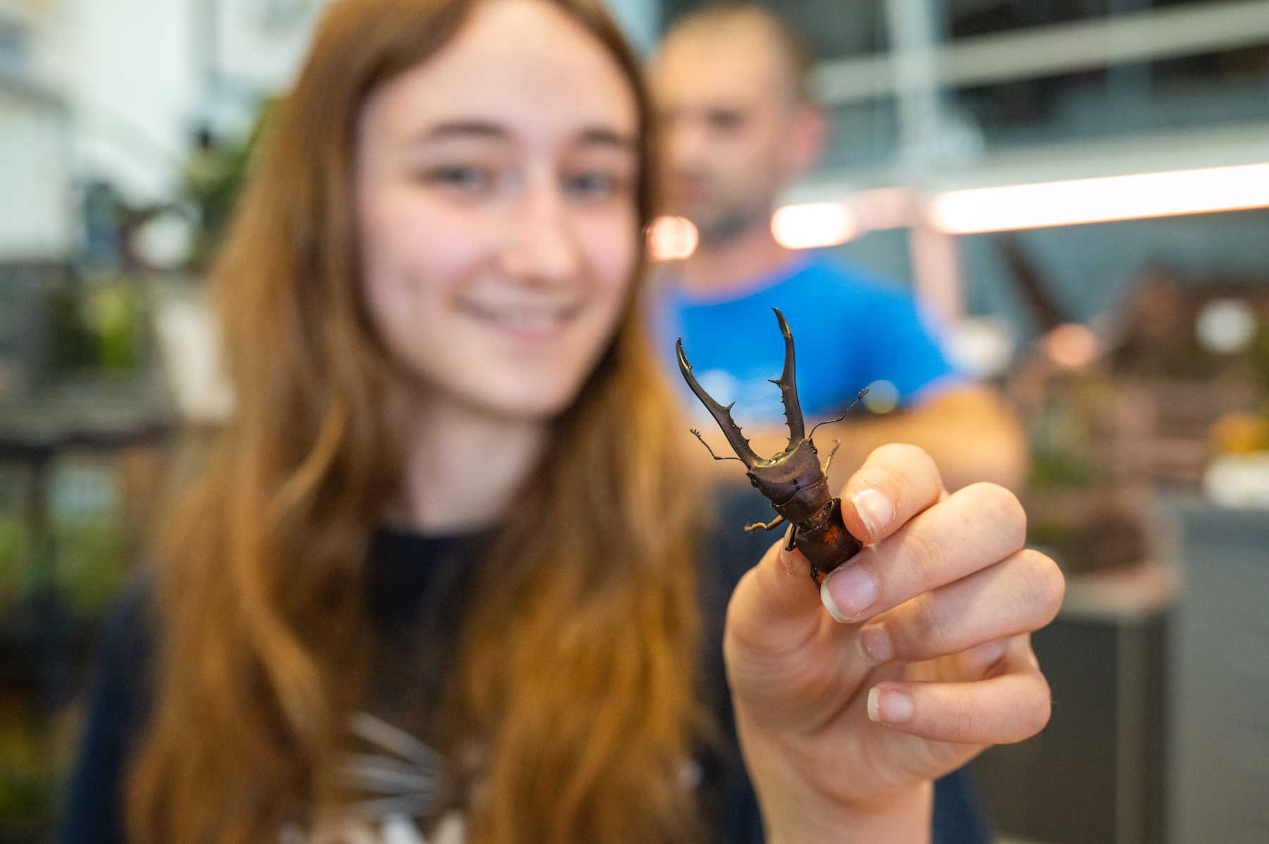 a smiling girl holds up a stag beetle to the camera at Entomica in Sault Ste. Marie.