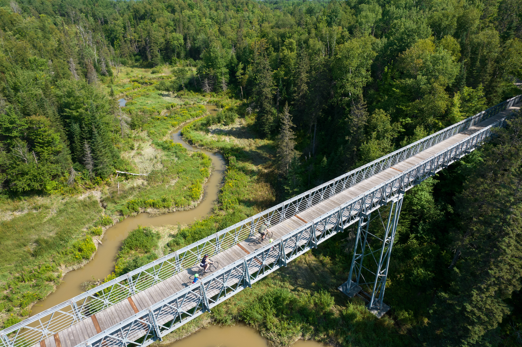 a family rides their bikes over a long metal bridge stretching high above the green wetlands and forest of the Fort Creek Conservation Area. 