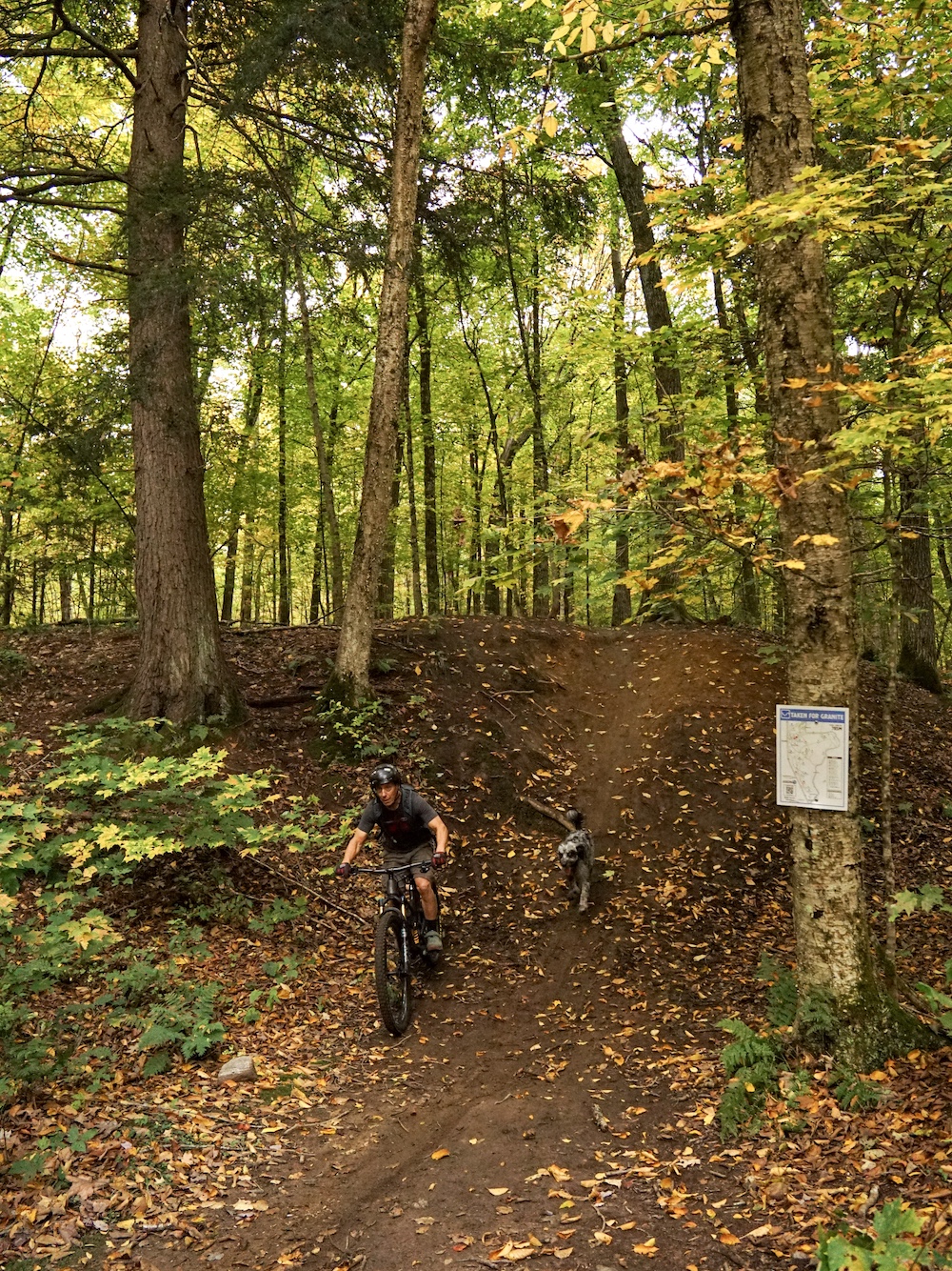 Man mountain biking down hill in the woods