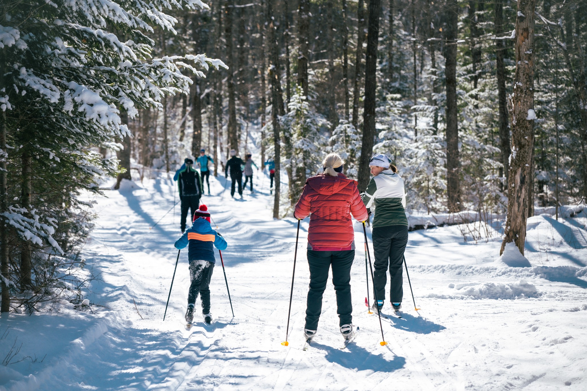 a family cross country skis down snowy forest trails on a sunny winter day at Hiawatha Highlands.