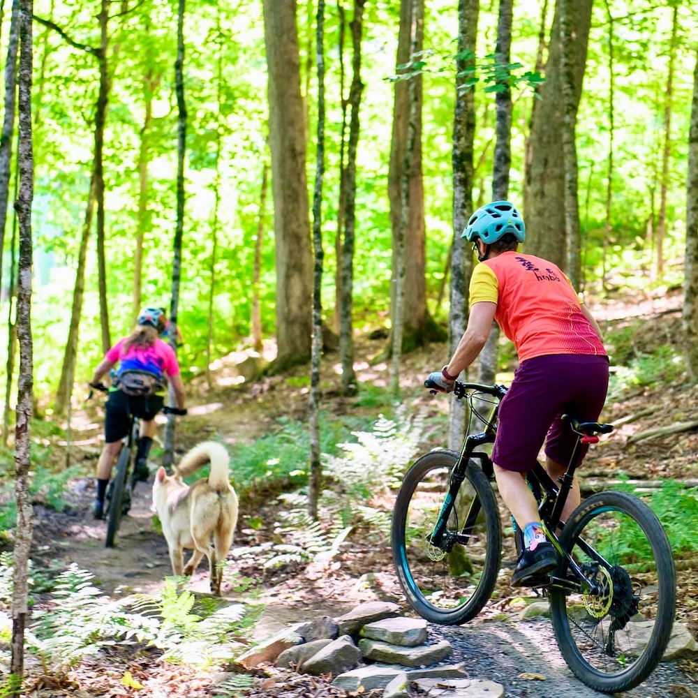 Two people biking with a dog on mountain bike trails in a forest