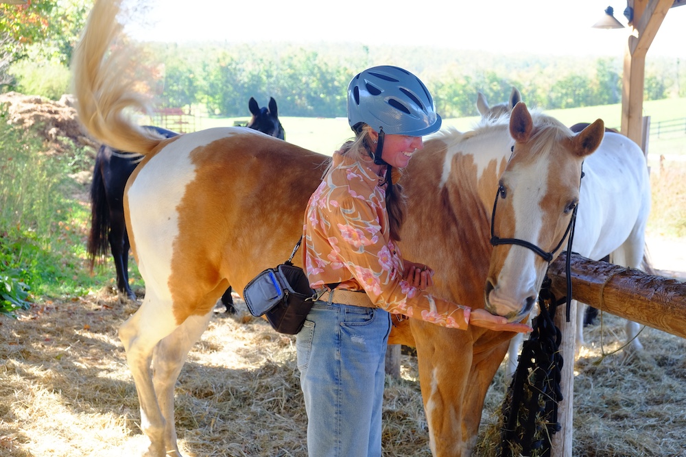 Woman feeding a horse