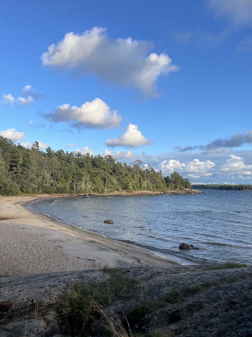 Beach with trees along far shore