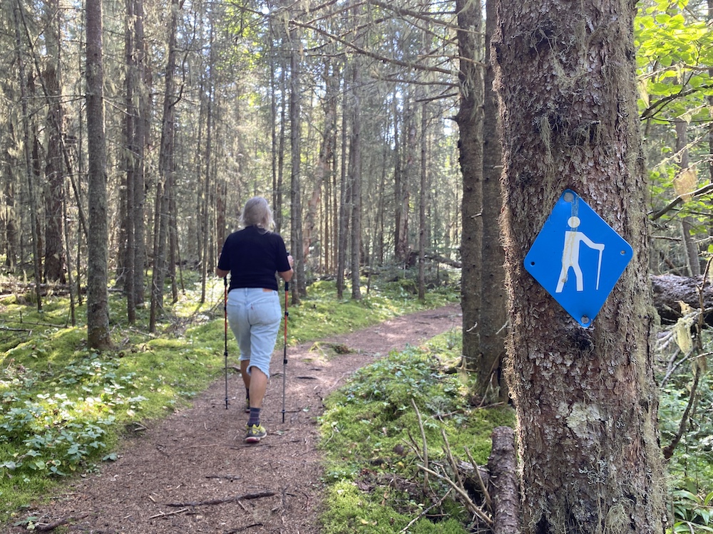 Woman hiking on trail through the woods