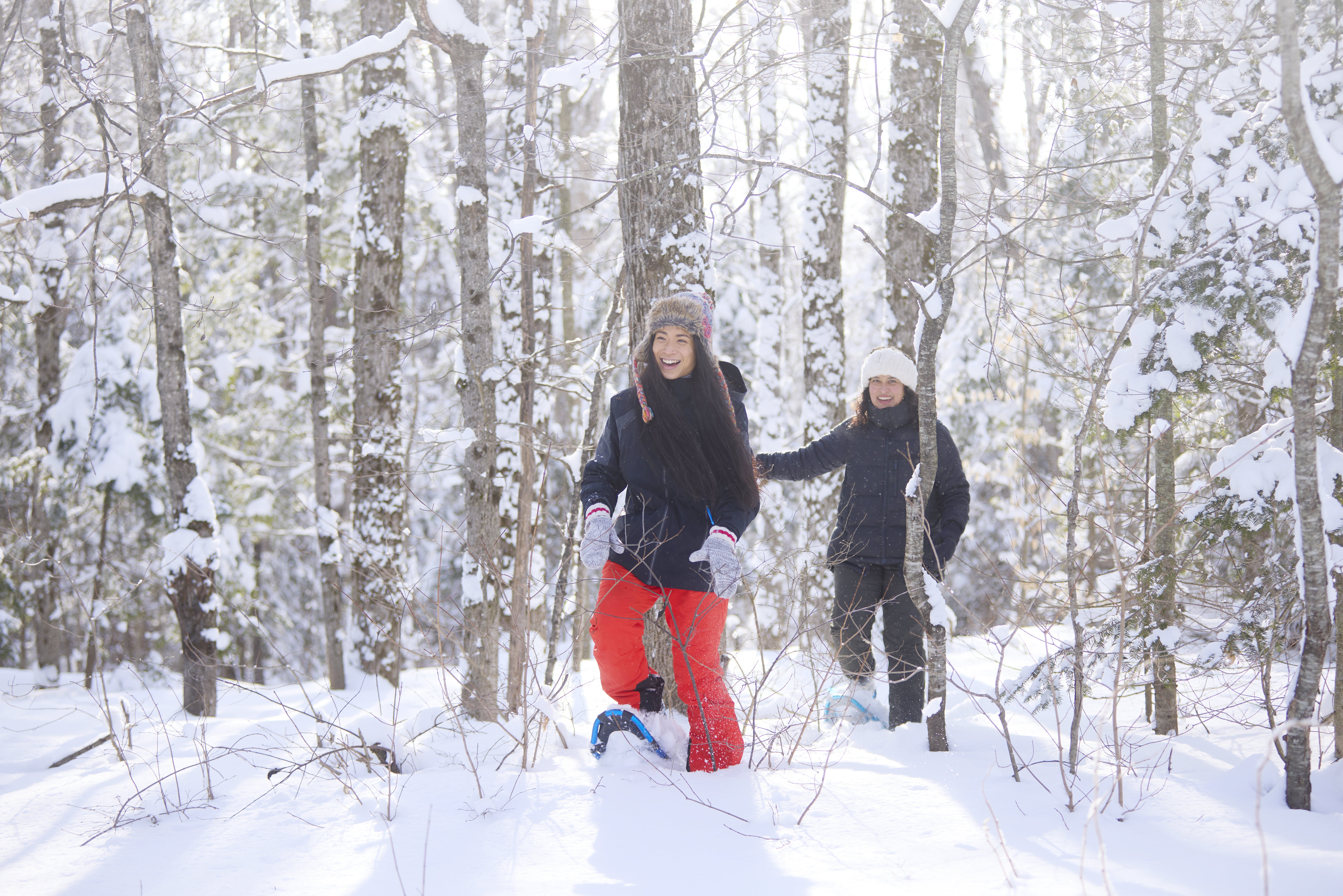 Two people on snowshoes in woods