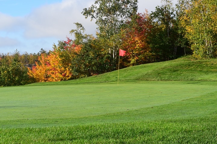 Stonehill Golf Green