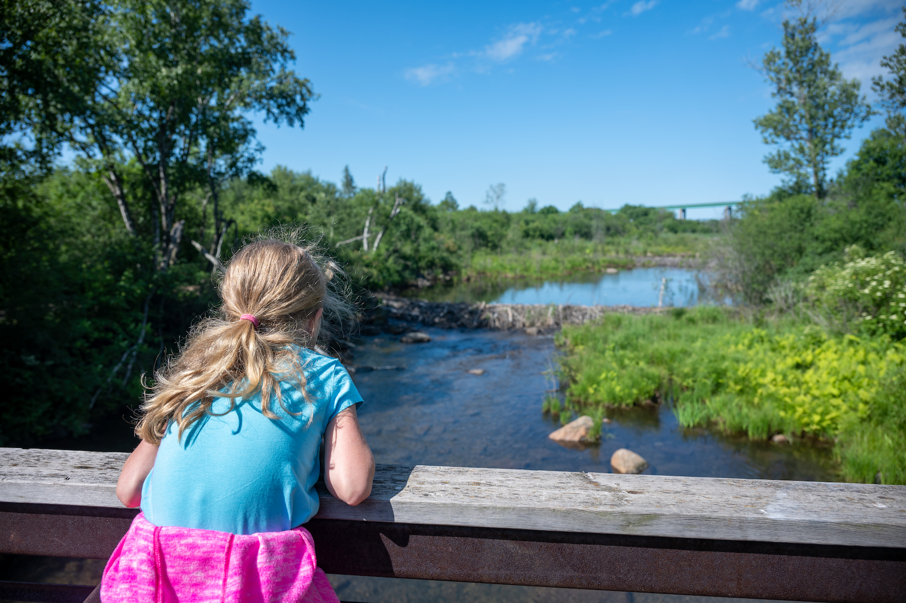 a girl leans over a wooden railing on a bridge overlooking a creek at Whitefish Island on a summer day.