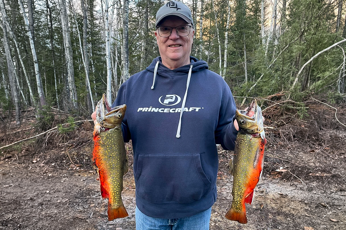 brook trout fishing