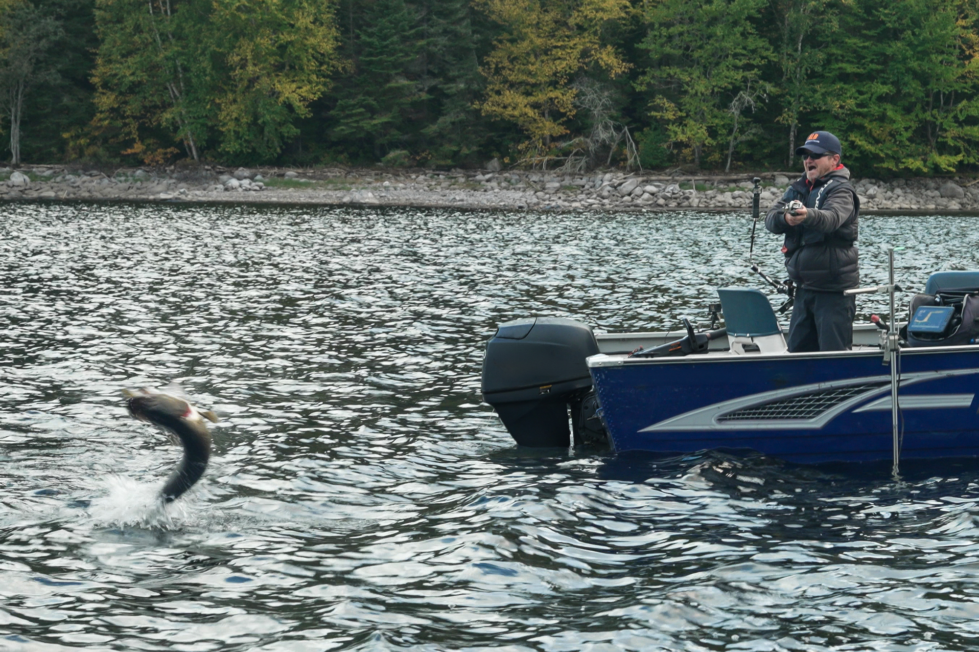 fishing jumping northern pike