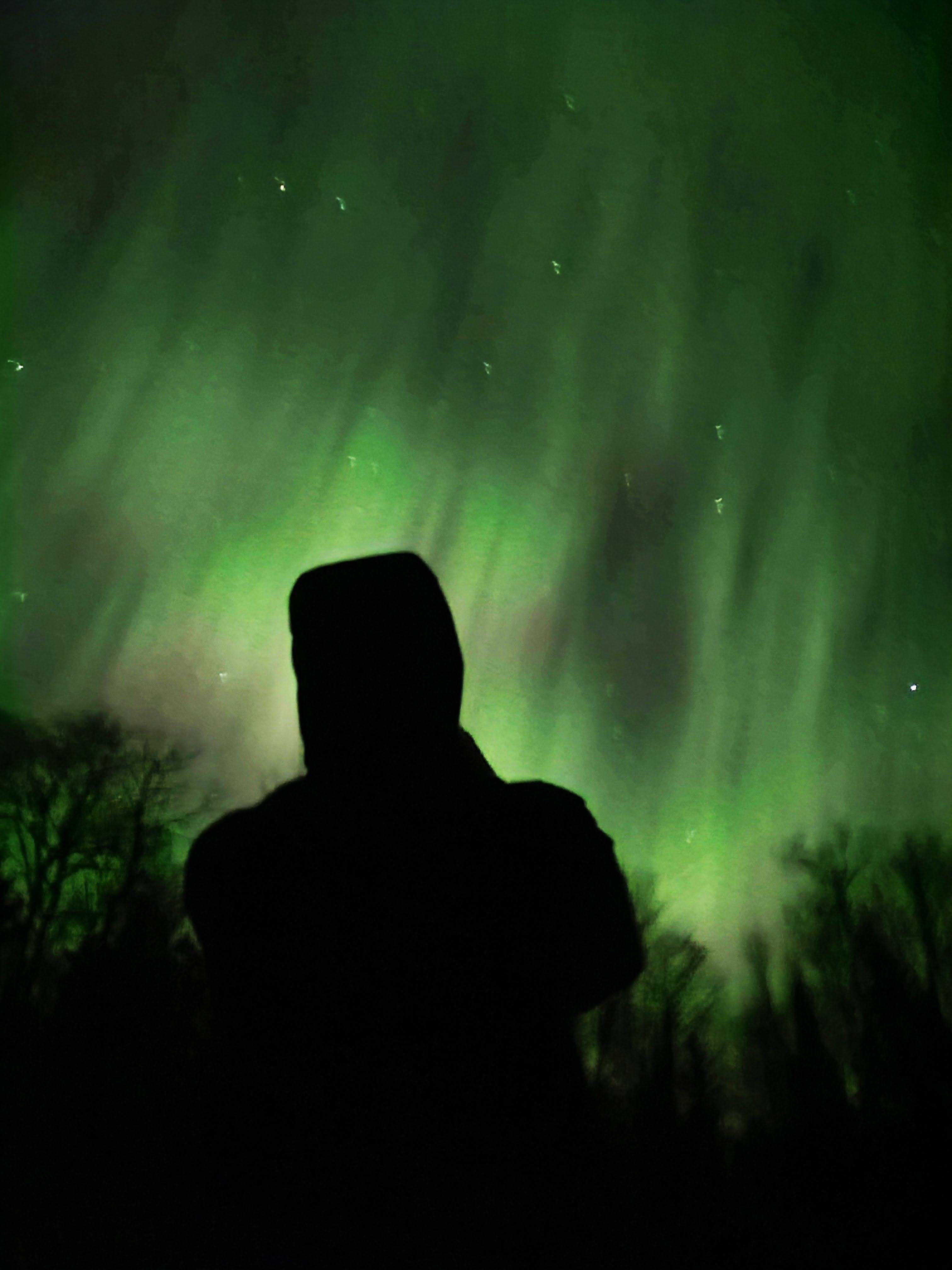 Northern Lights - Nadine Robinson