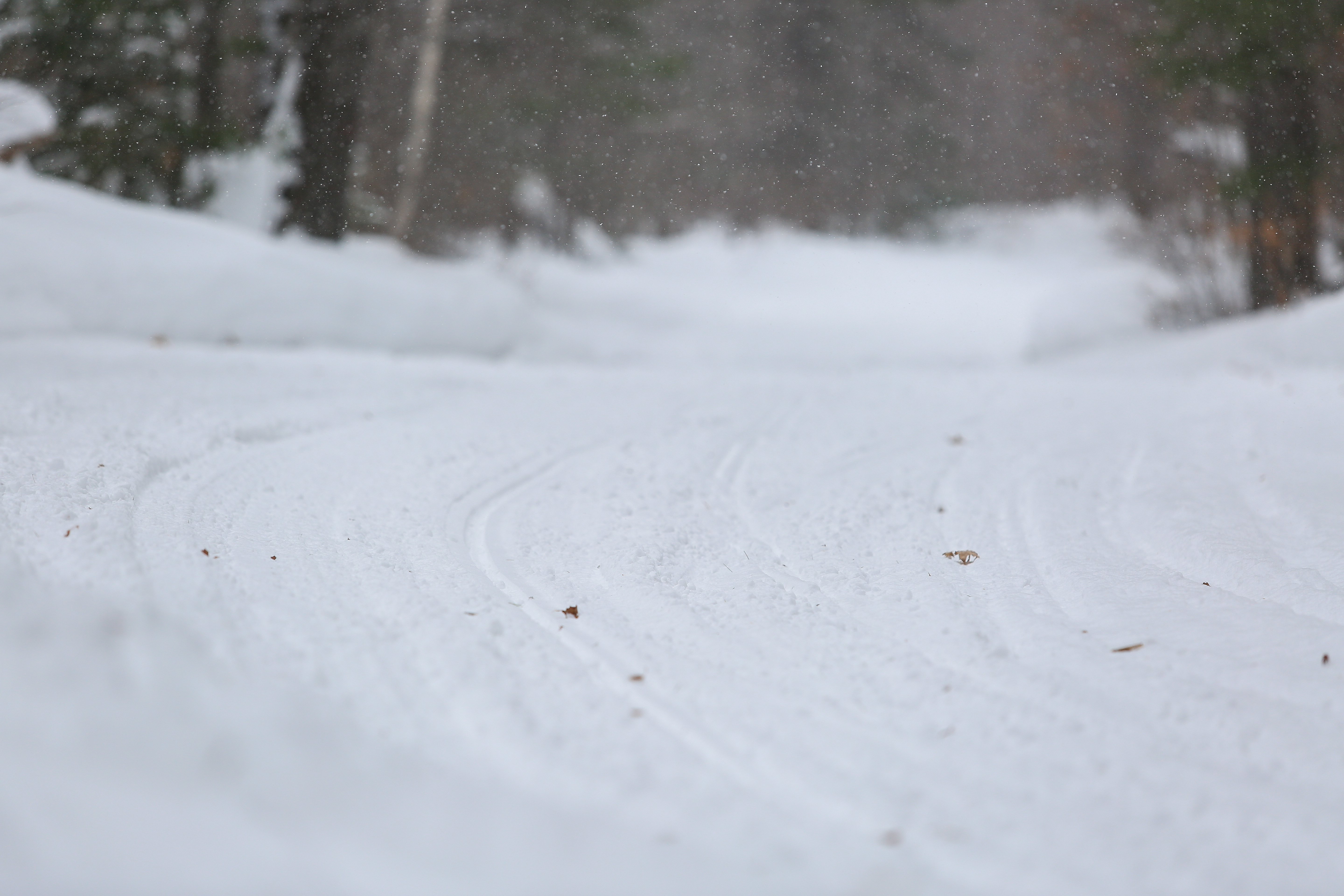 a flat groomed snow base on a snowmobile trail, getting softly dusted by sparkling, falling snow.