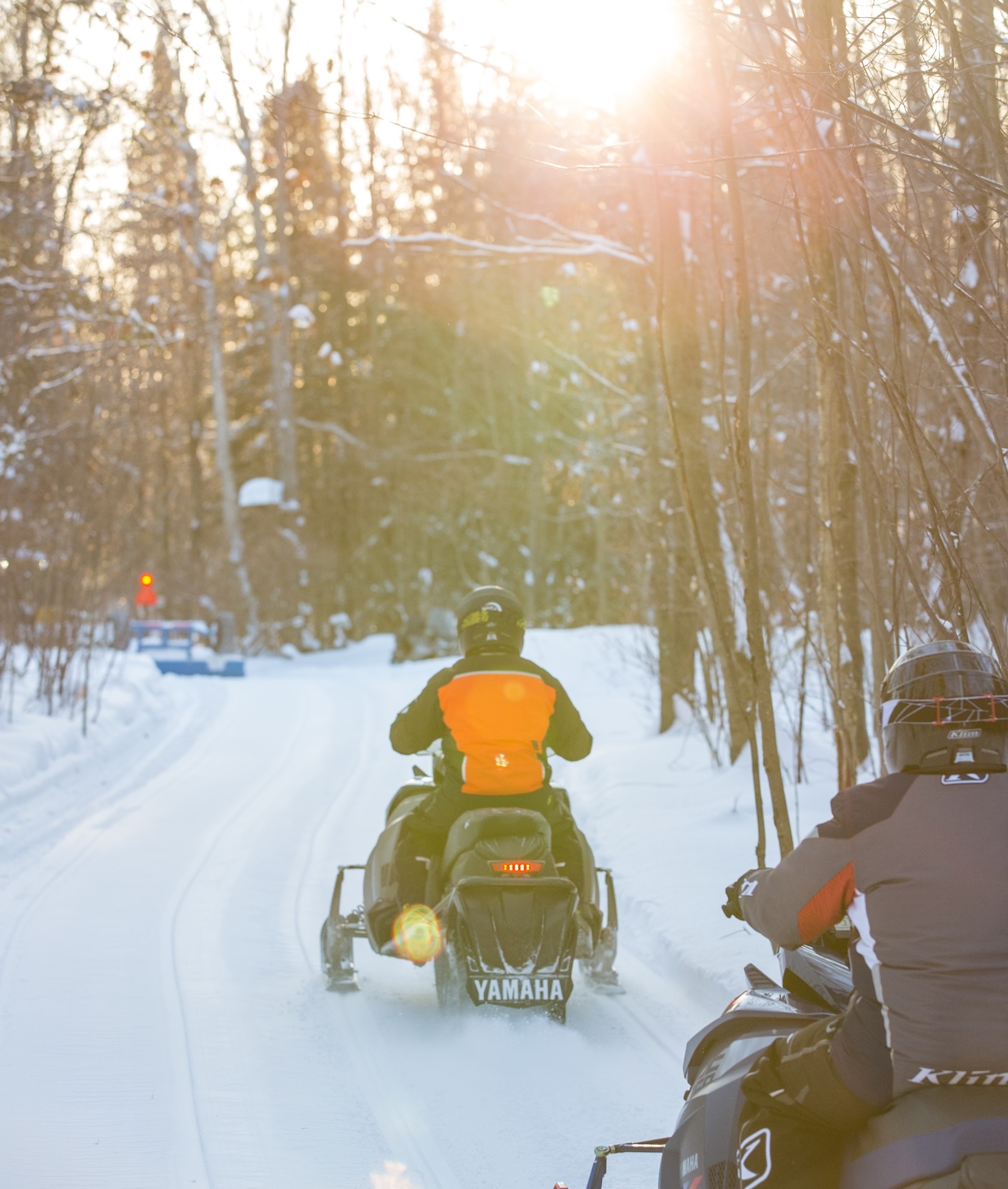 two snowmobilers ride down a snowy forested trail while the late winter sun shines low and golden through the trees. 