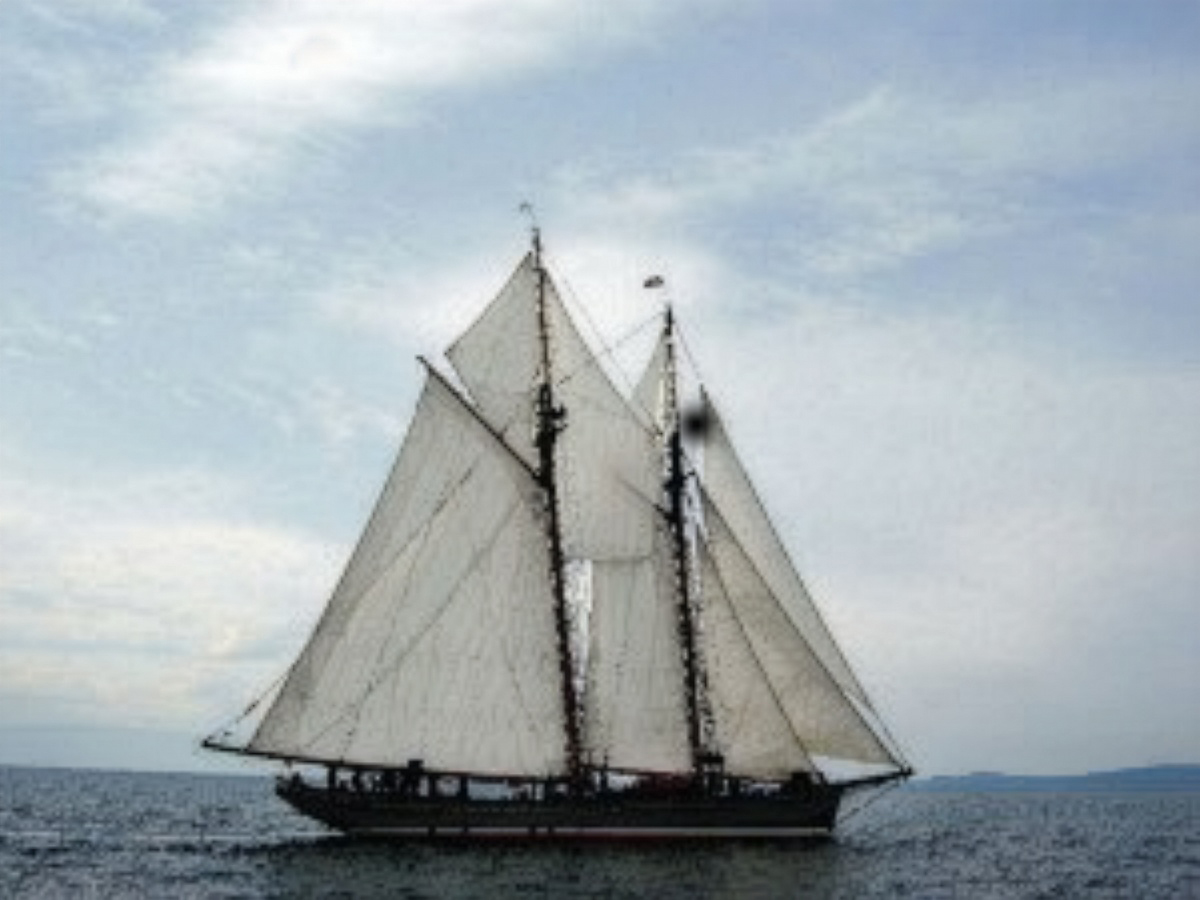 Schooner William O Brown wrecked off Point Mamainse in November 1872