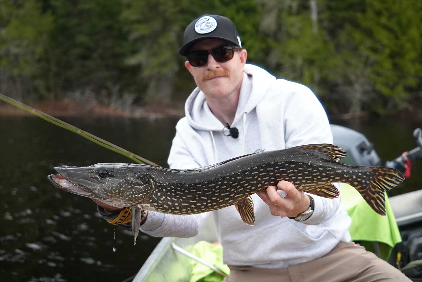 northern pike