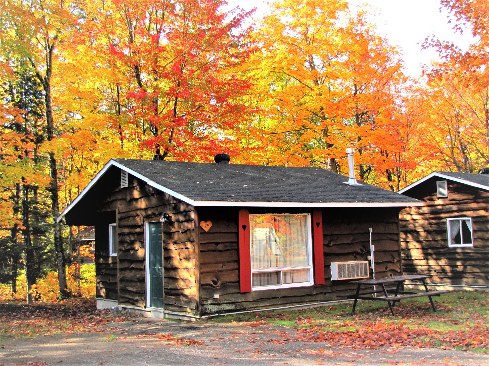 Cottage rentals at Glenview Cottage & Campground