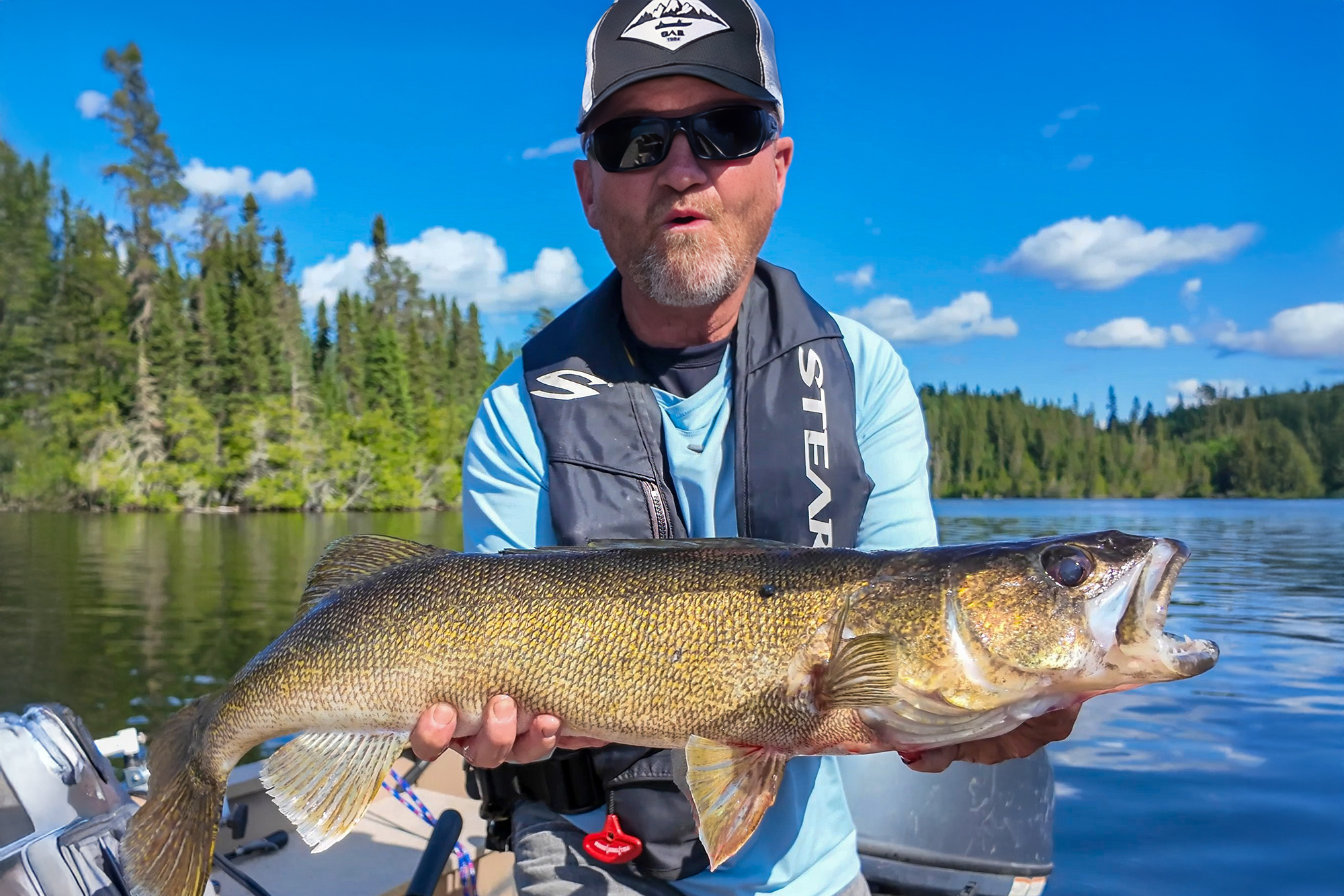 walleye