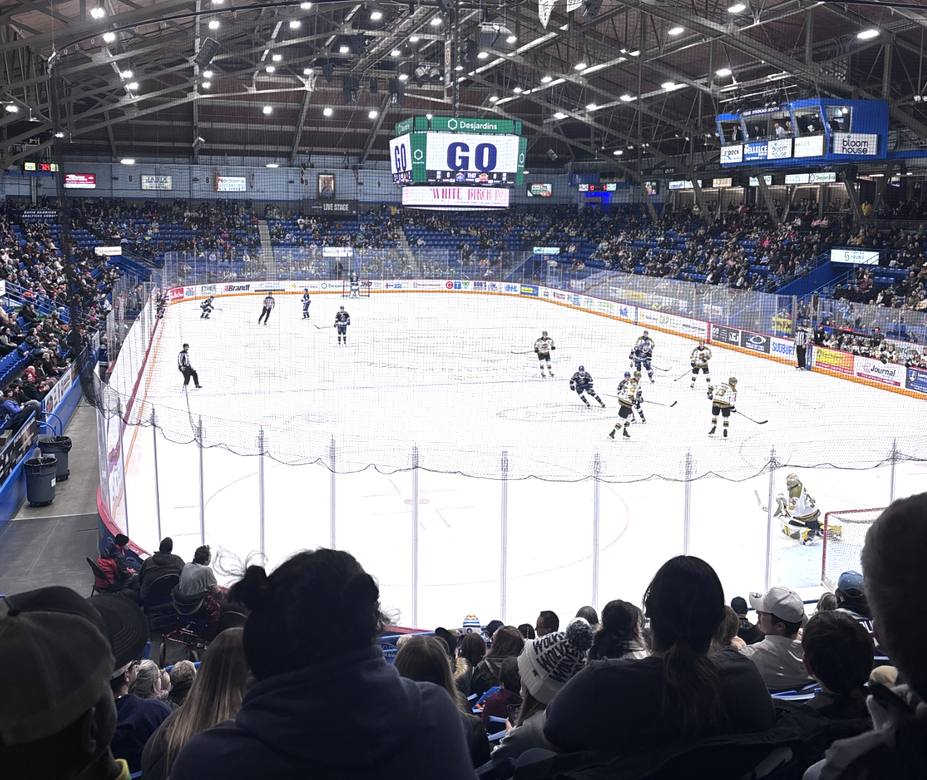 sudbury wolves