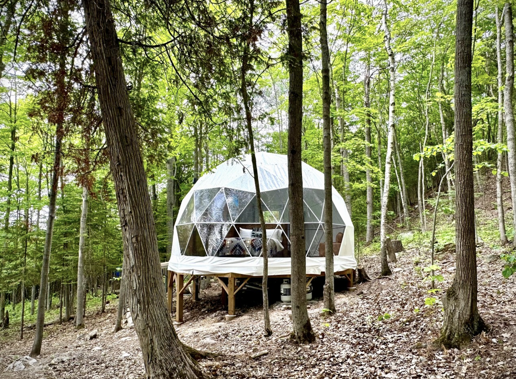 Glamping dome in the Trees