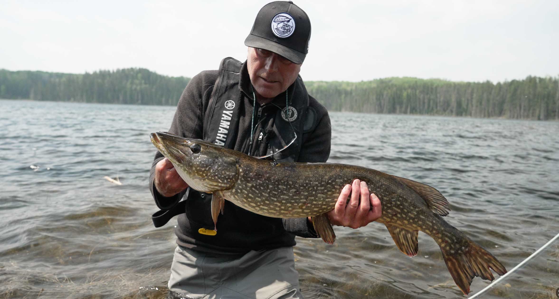 northern pike