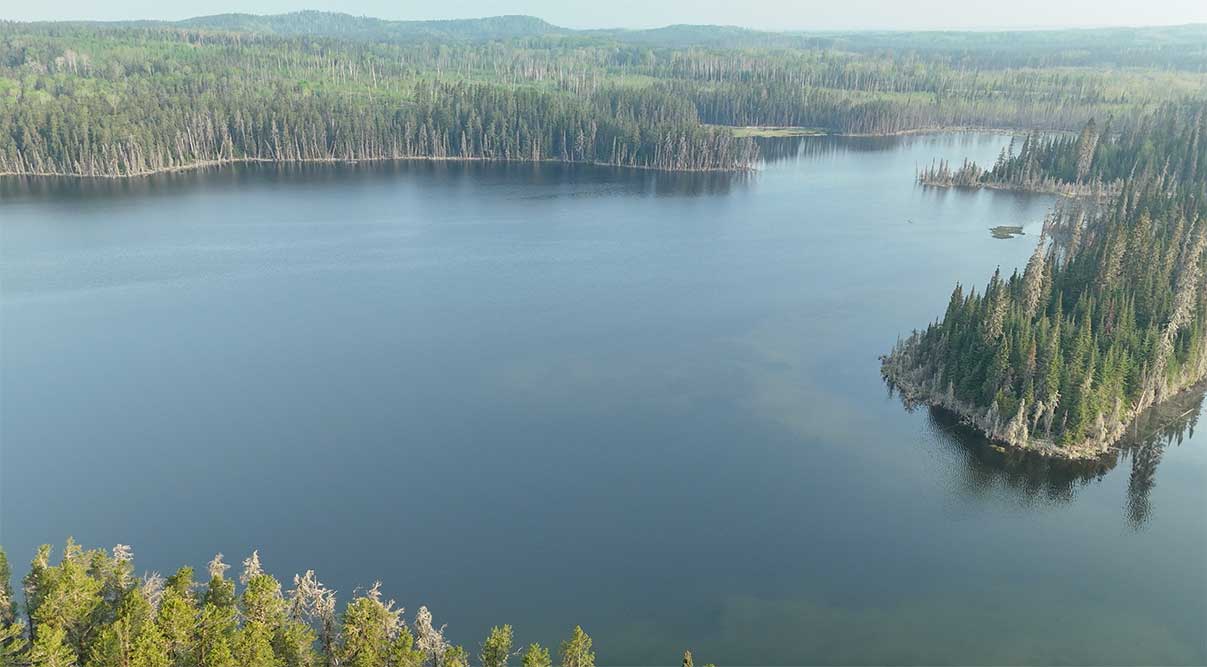 aerial view of lake
