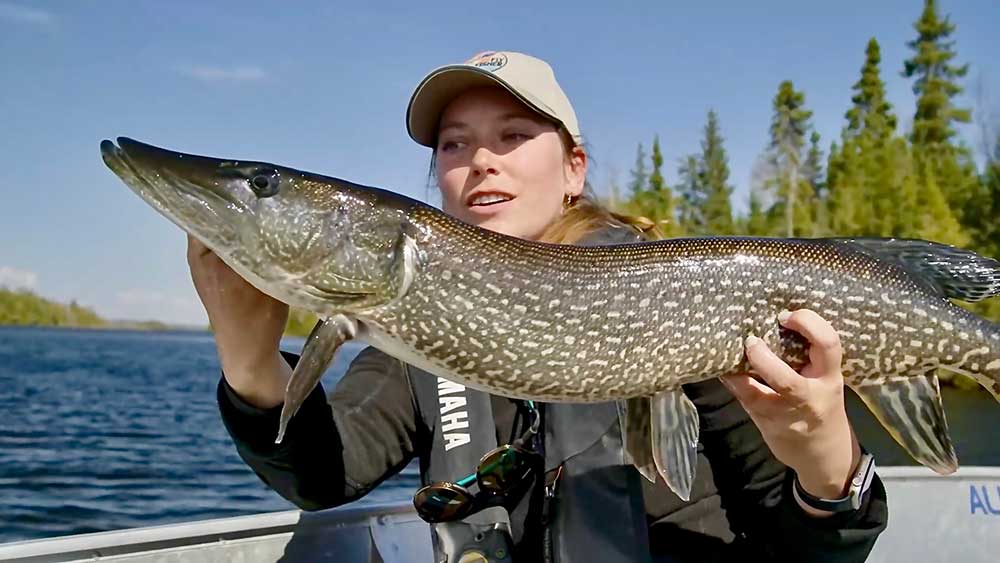 northern pike