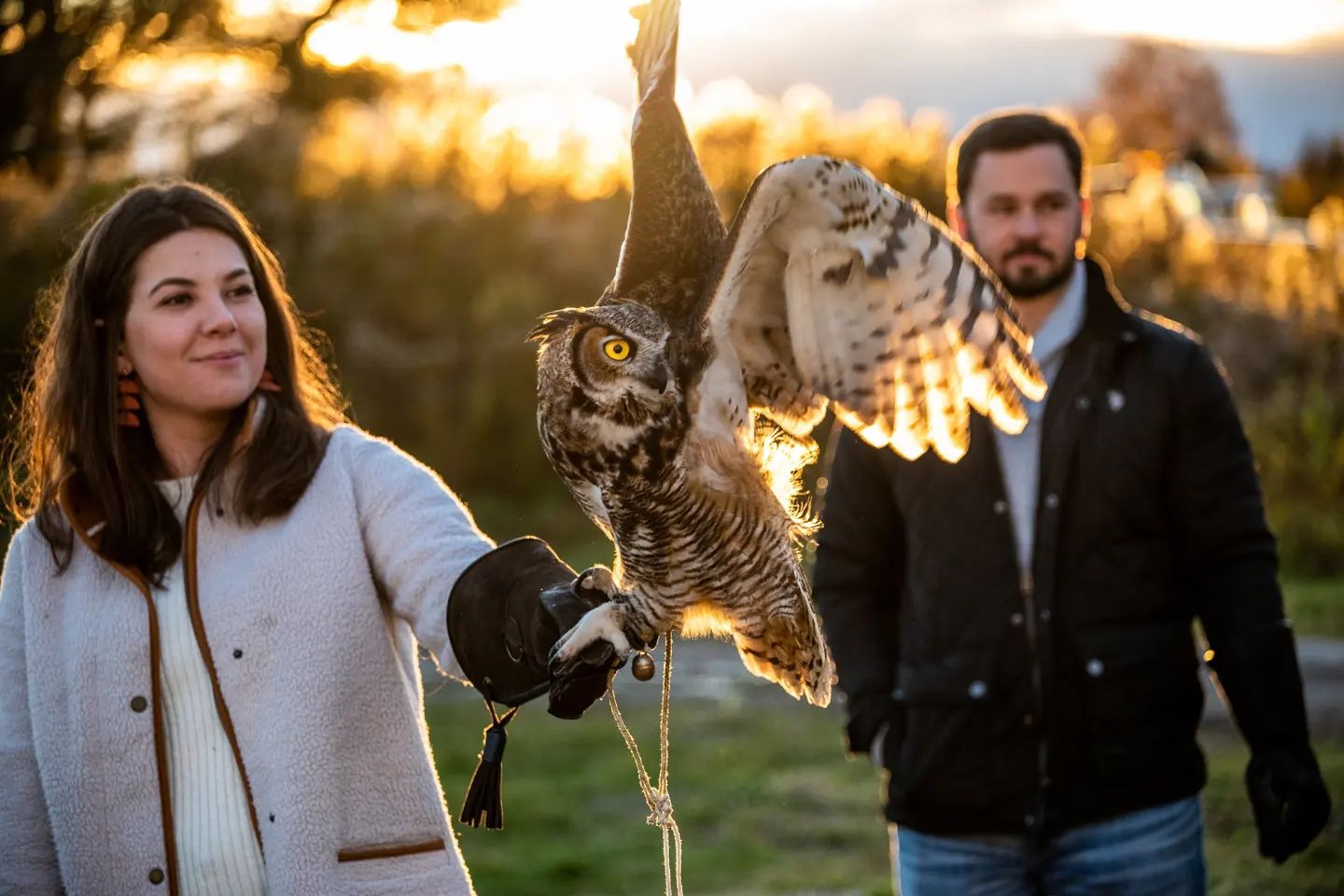 A smiling woman looks at a large brown owl perched on her gloved hand in front of a green field and setting sun. 