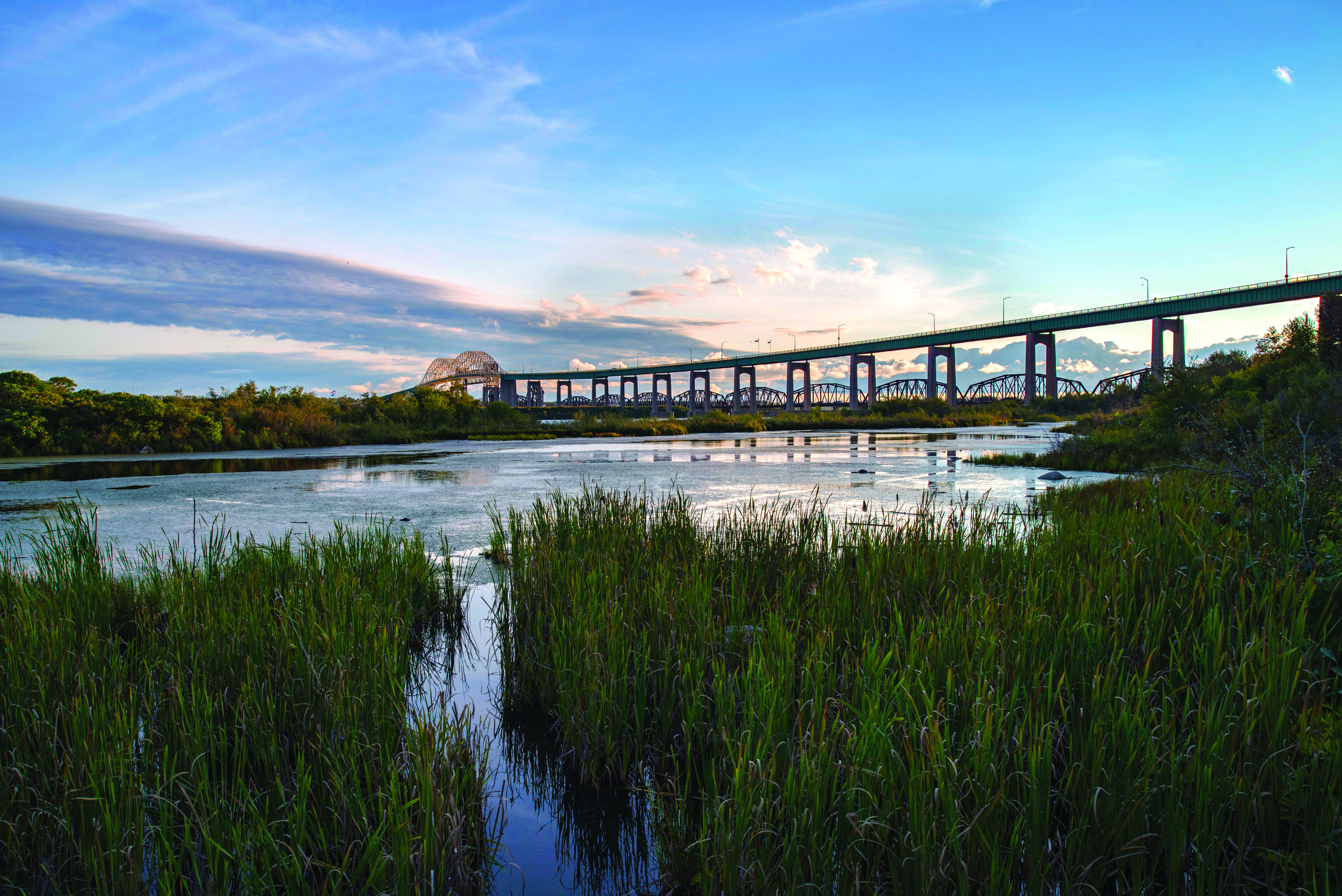 green marsh grasses line the bank at Whitefish Island, the sun setting behind the International Bridge in the distance. 