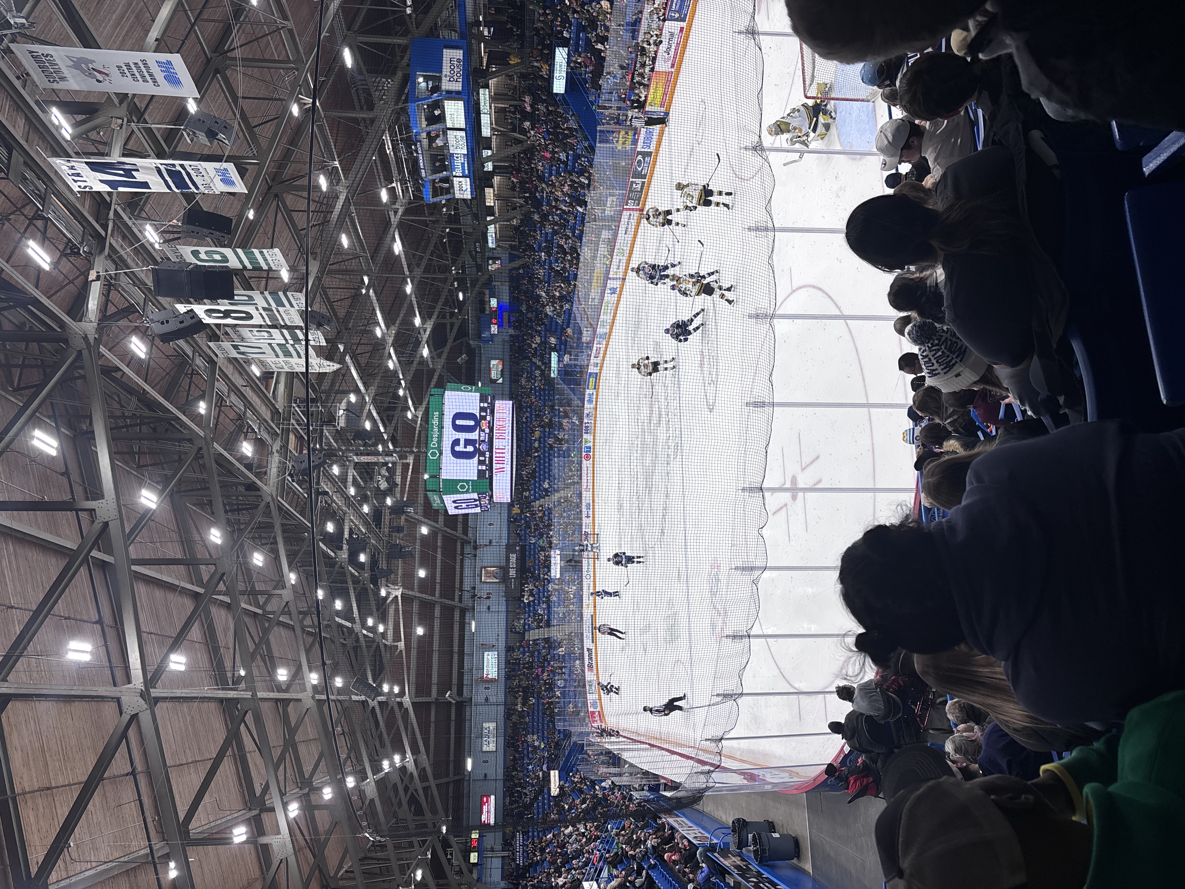 Wolves game interior 