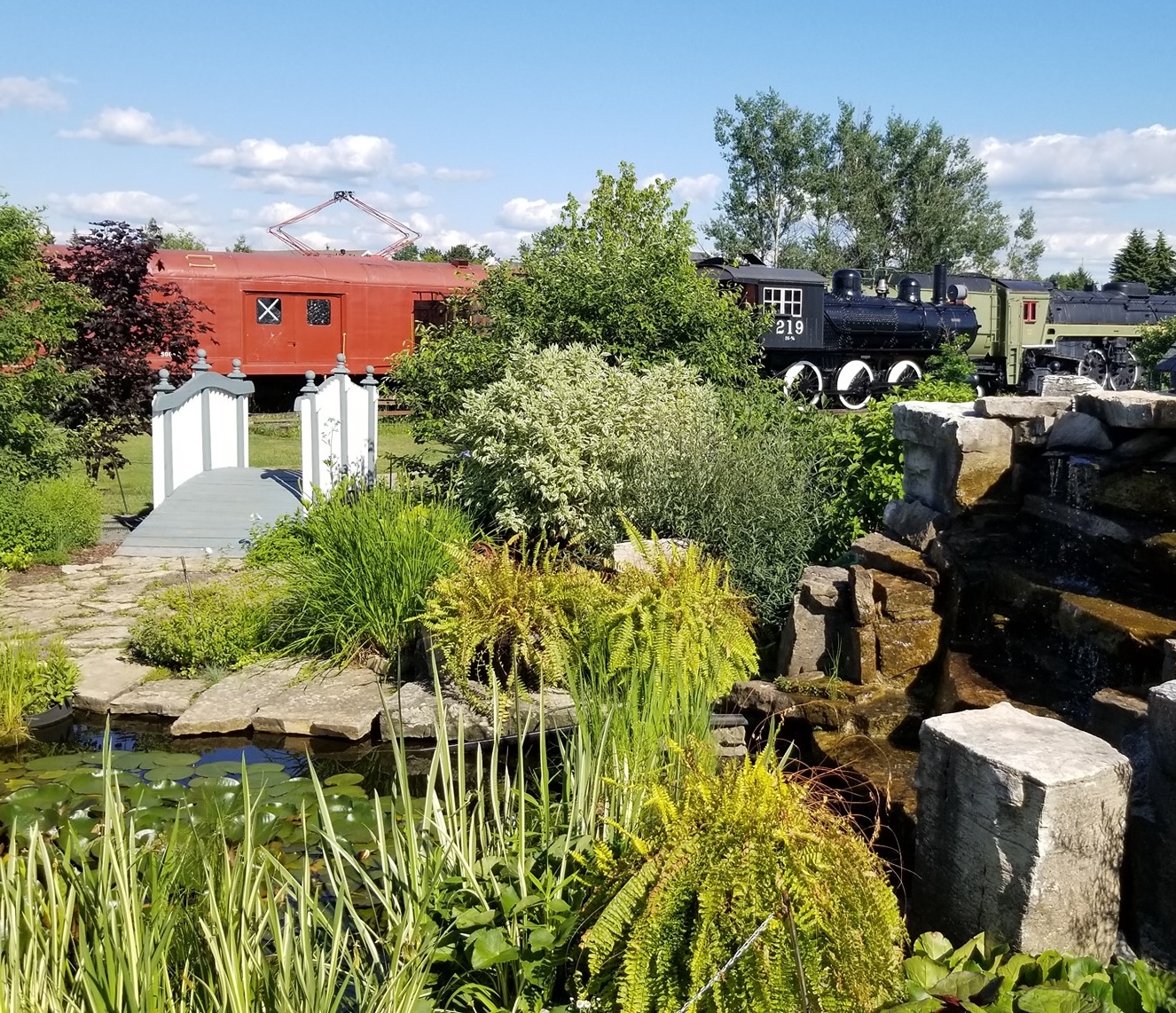 a lush garden filled with ferns, a pond and a boardwalk leads to a restored antique train at the Northern Ontario Railroad Museum.