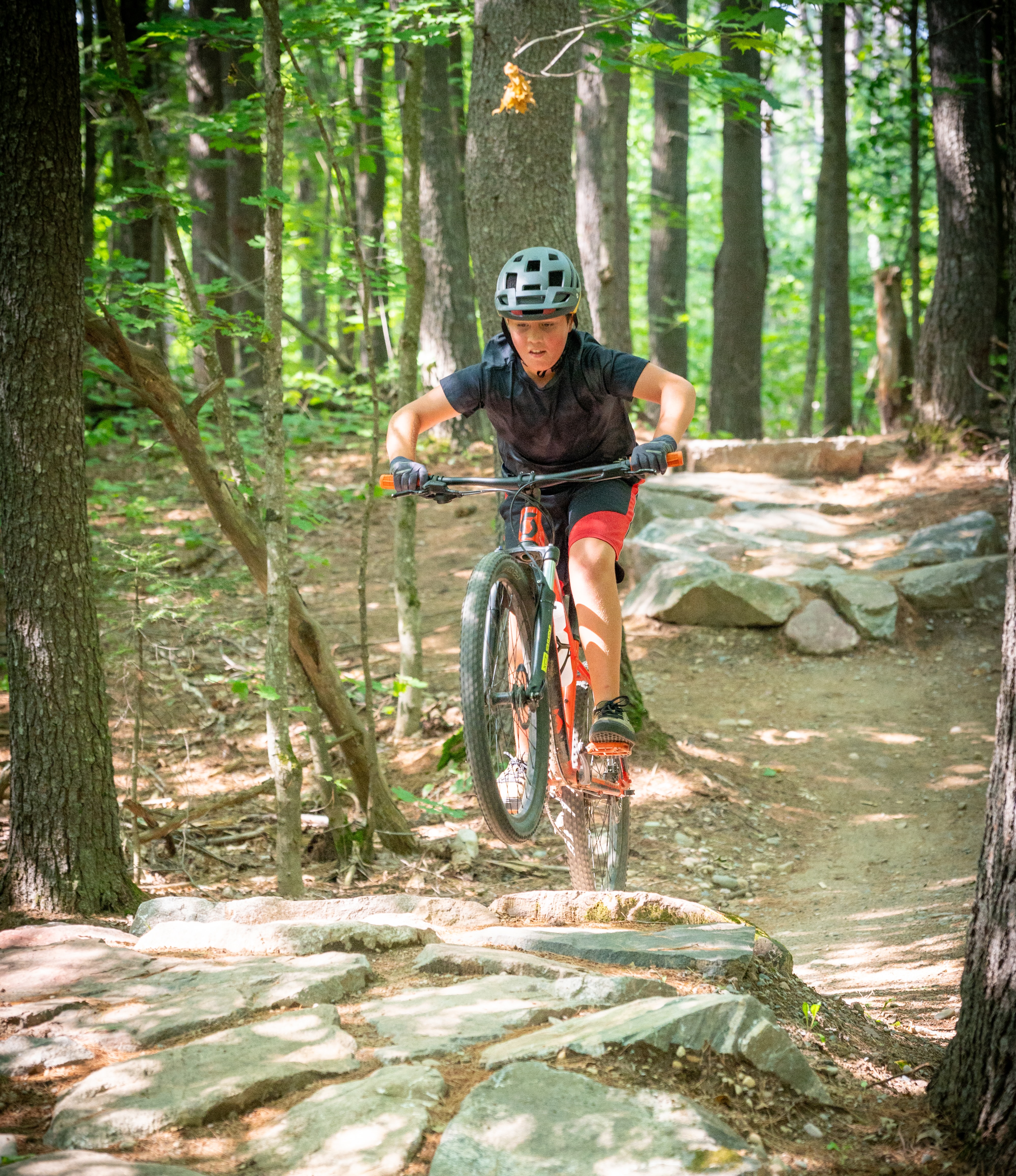A focused boy jumps his mountain bike at high speed over the rocks along the single track in the forest at Hiawatha Highlands.