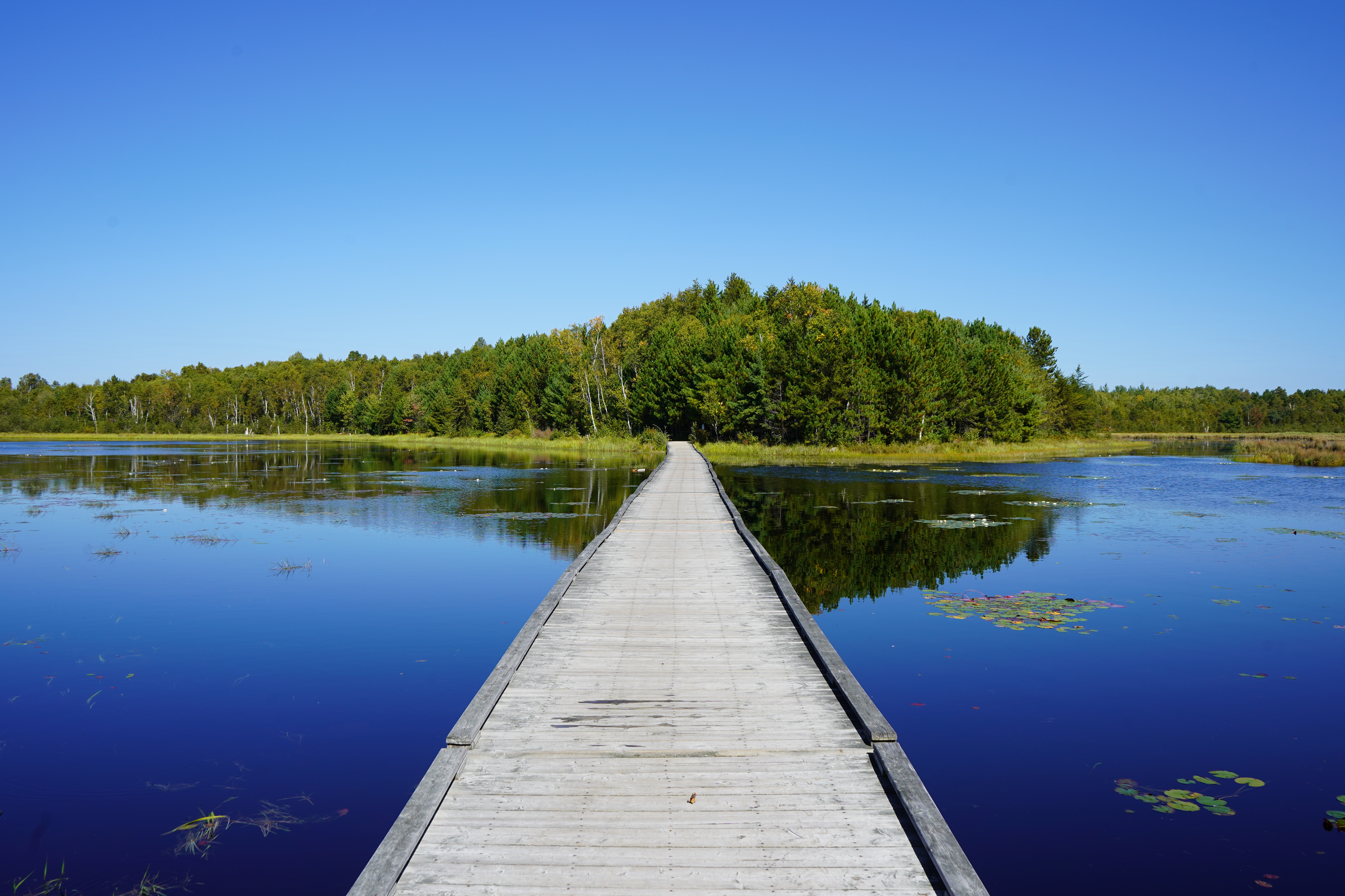 bridge over Lake Laurentian