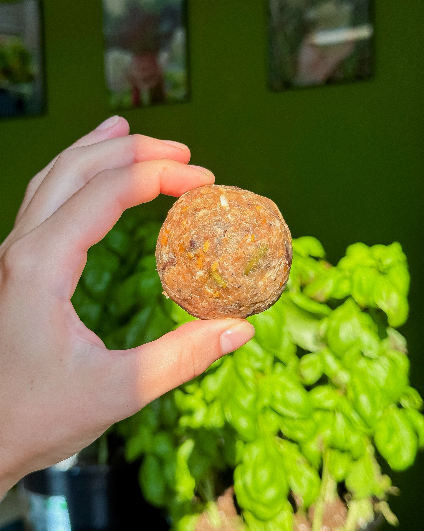 Protein ball from Good Grab