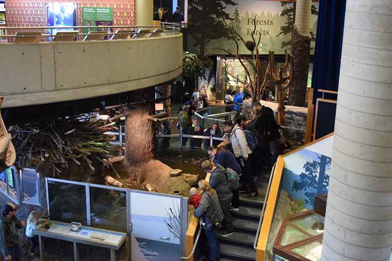 Science North 3rd floor