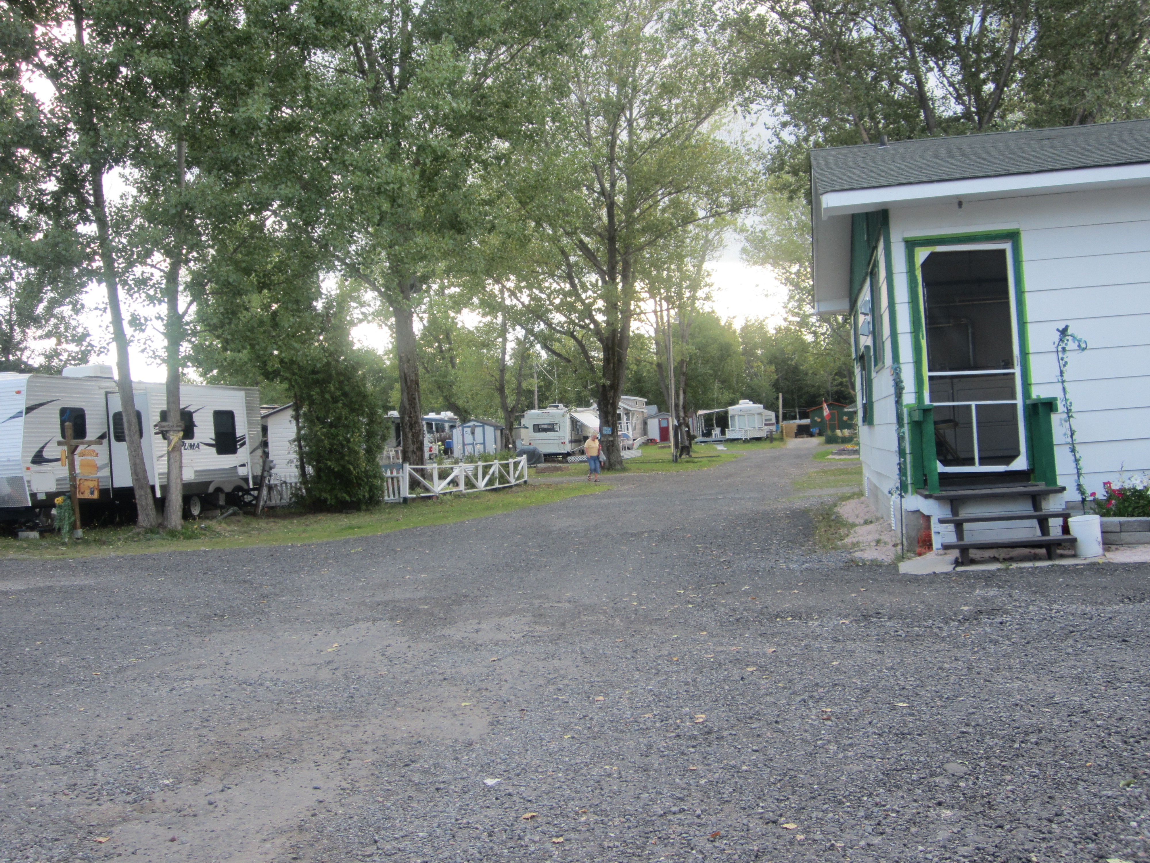 RVs dot sites along a shady gravel lane lined with green foliage under a golden evening sun at Carol's Campsite and RV Park. 