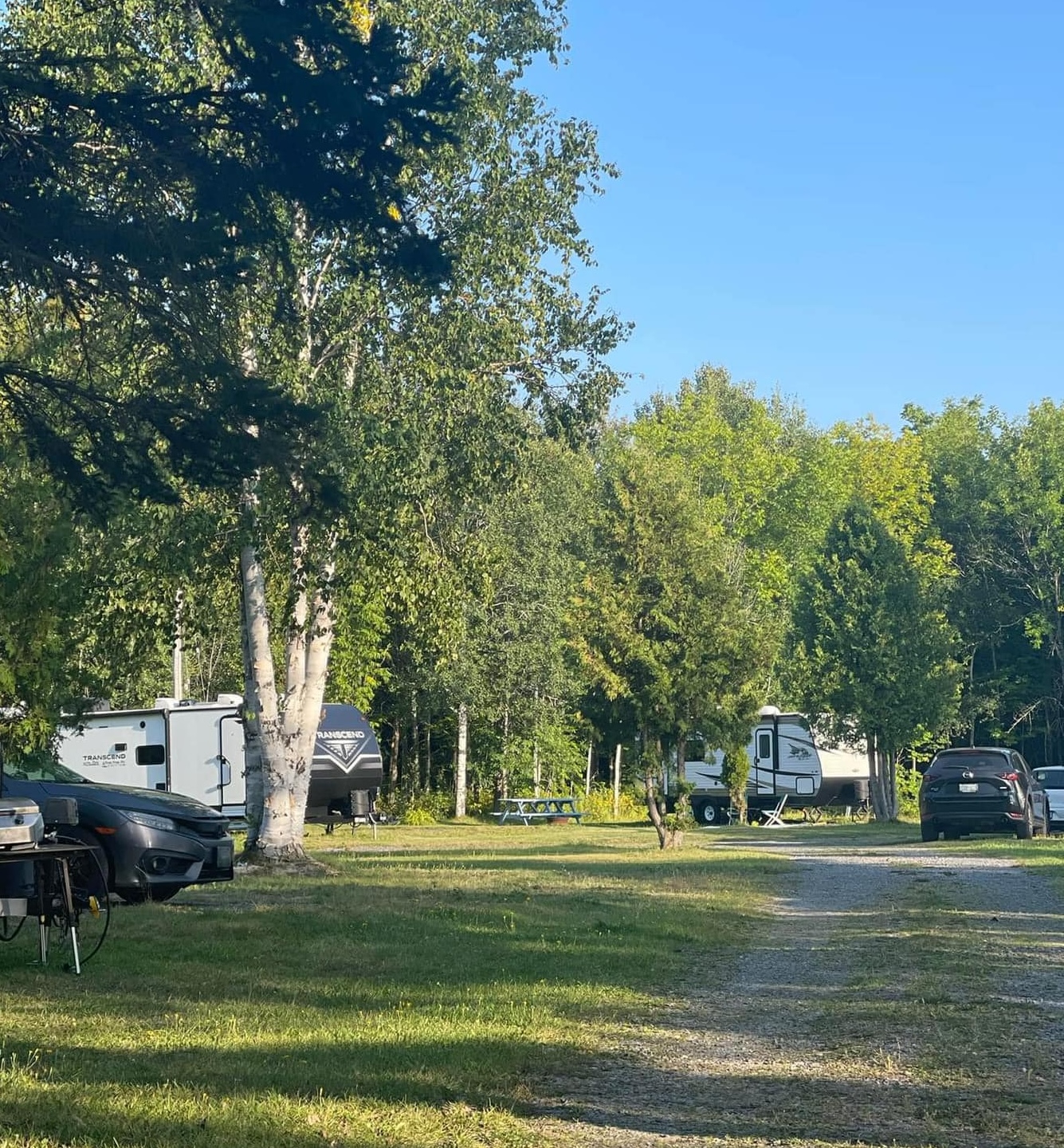 RVs dot spacious campsites with large lush shade trees on a clear summer morning at Holiday Beach Campround. 